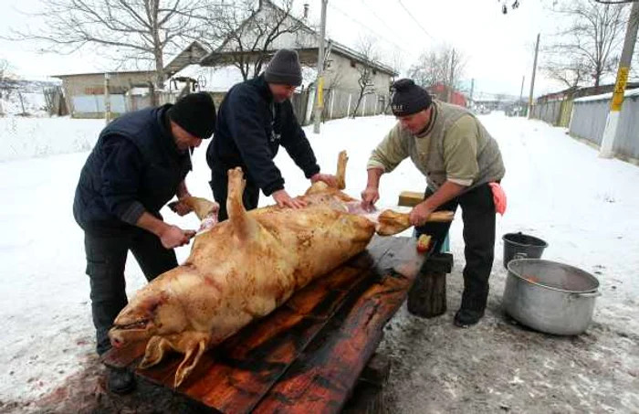 Ignatul (20 decembrie)